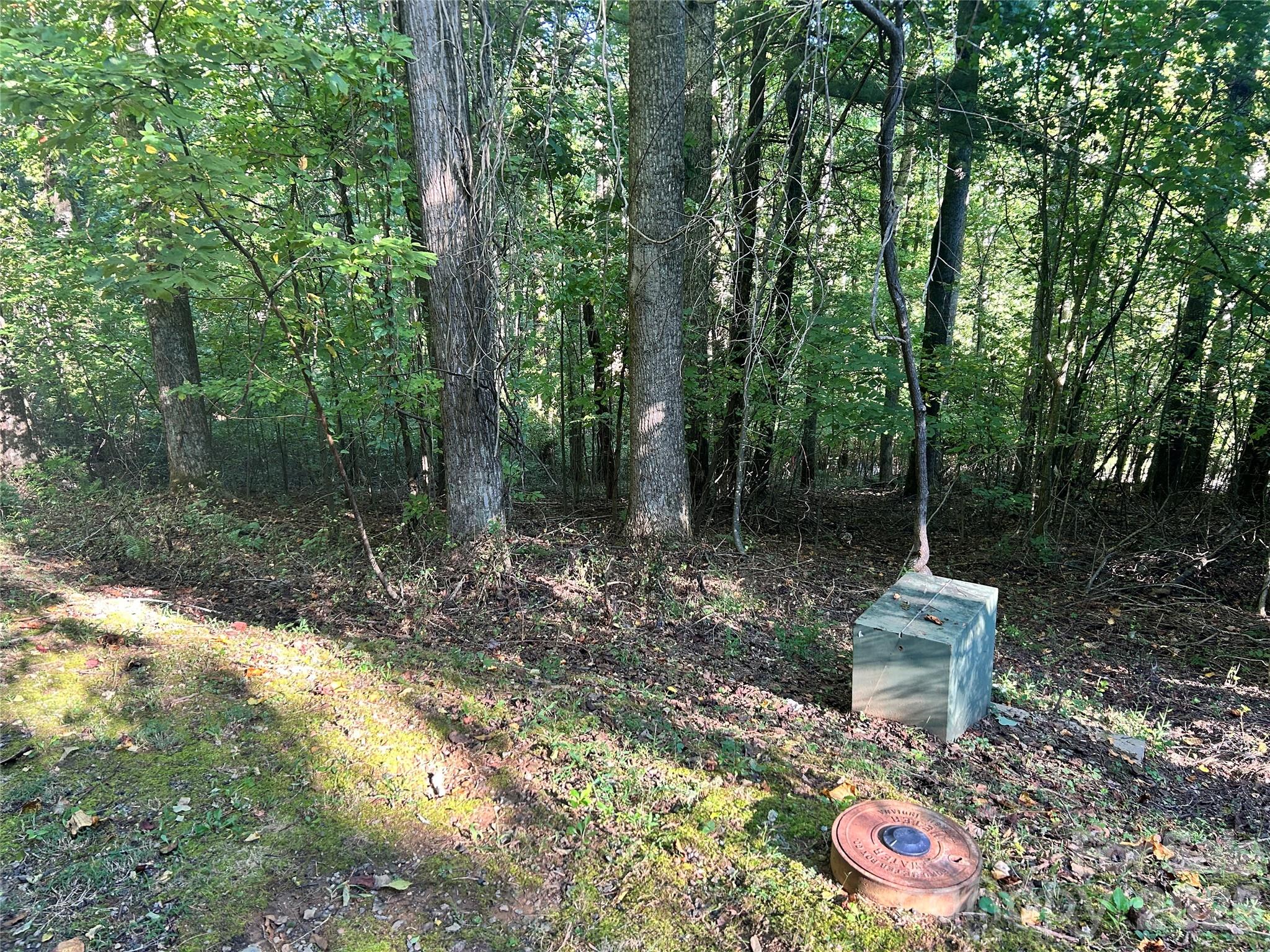 573 Solomon Circle 34 Property Photo 5
