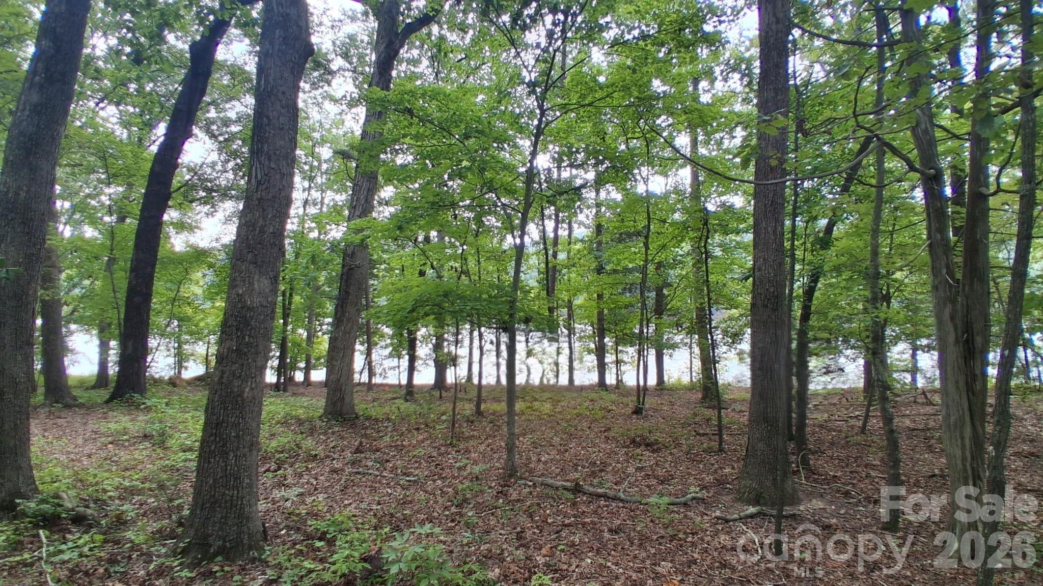 497 Harbor Drive Property Photo 2