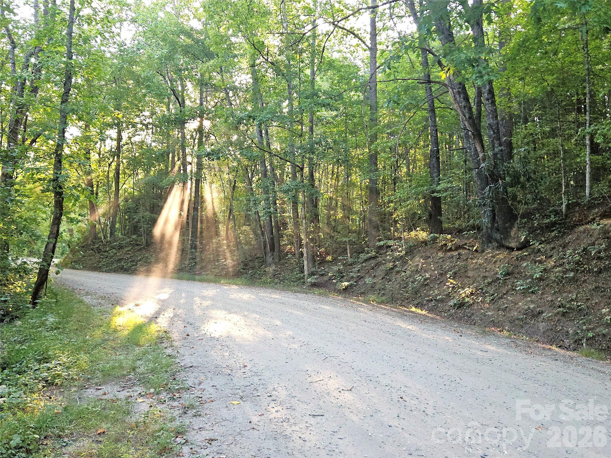 99999 Bear Lake Road (SR 1137) Property Photo 1