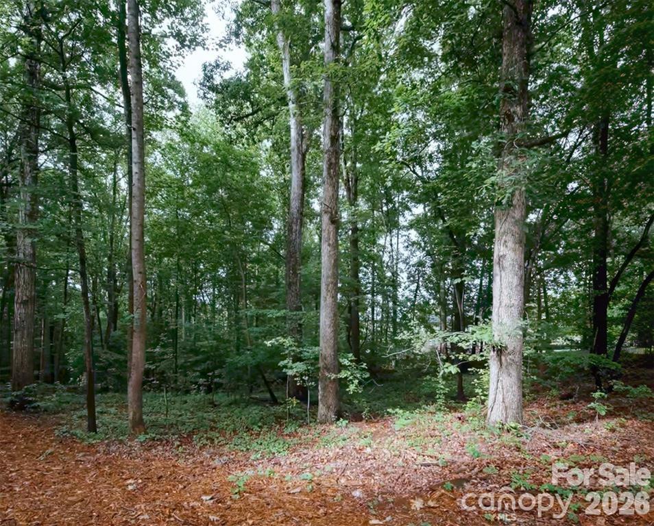 8802 Bartlett Road Property Photo 6