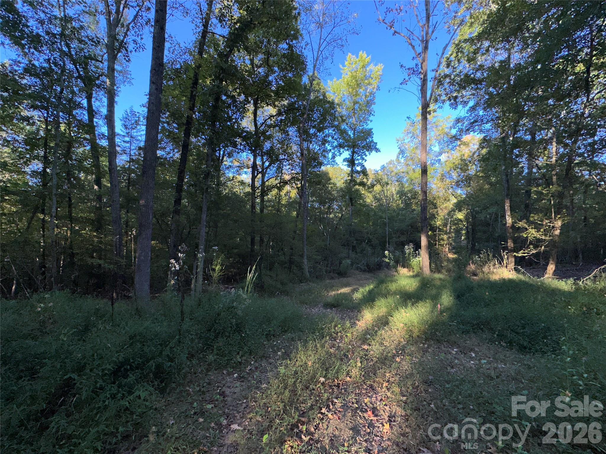 8160 Christopher Road Property Photo 3