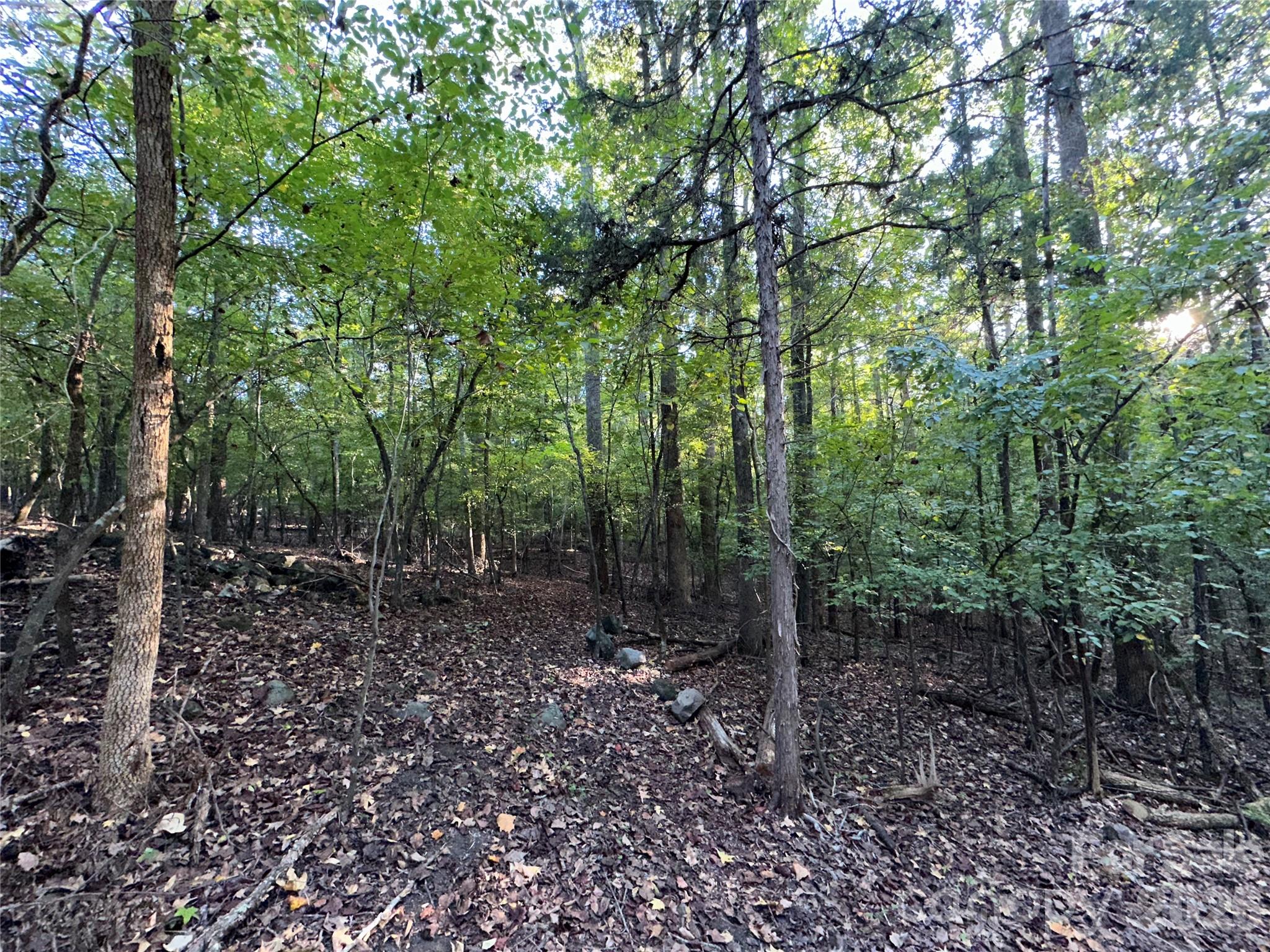 8160 Christopher Road Property Photo 5