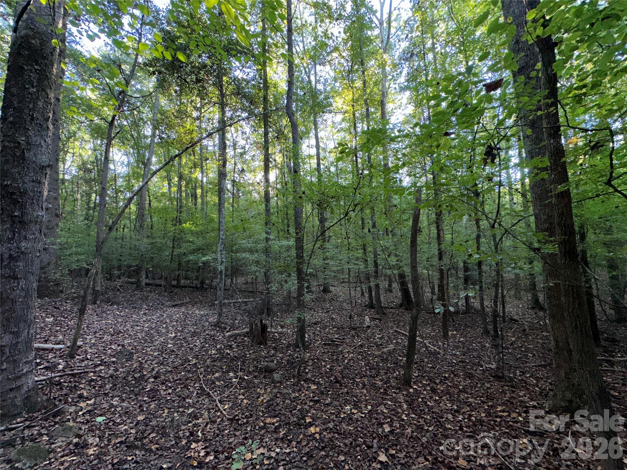 8160 Christopher Road Property Photo 6