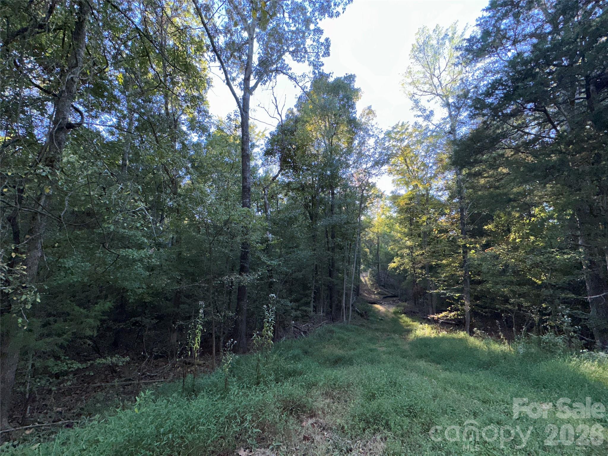8160 Christopher Road Property Photo 7