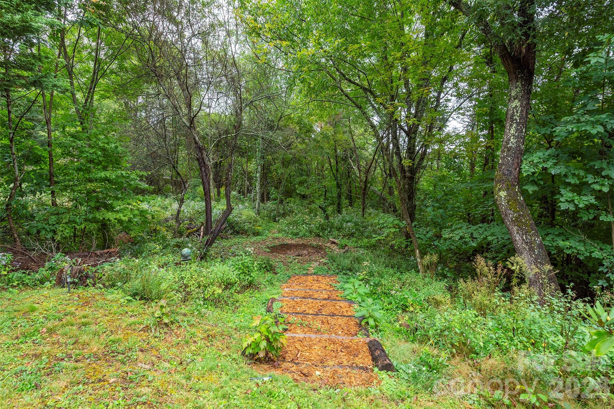 281 Bearwallow Trail Property Photo 26