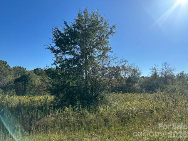 335 Kistler Road Property Photo 6