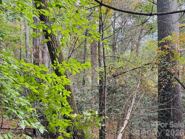 Tbd Old Little Mountain Road Property Photo 11
