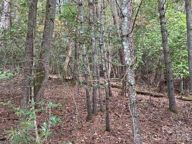Tbd Old Little Mountain Road Property Photo 12