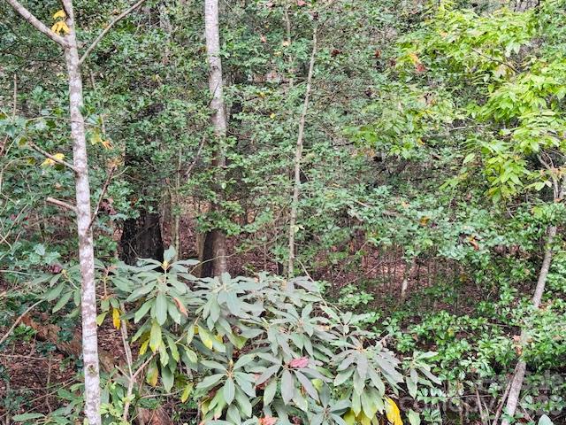 Tbd Old Little Mountain Road Property Photo 13