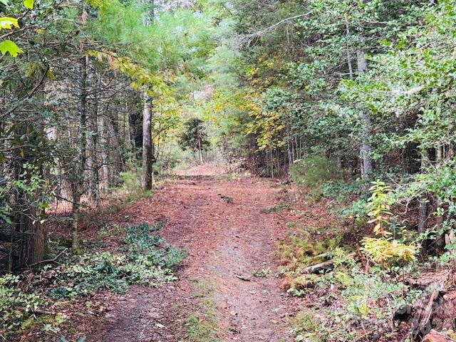 Tbd Old Little Mountain Road Property Photo 14