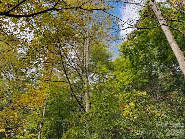 Tbd Old Little Mountain Road Property Photo 15