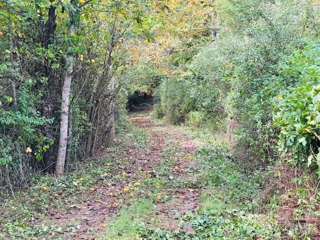 Tbd Old Little Mountain Road Property Photo 16
