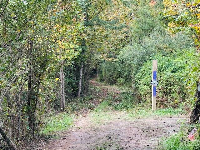 Tbd Old Little Mountain Road Property Photo 17