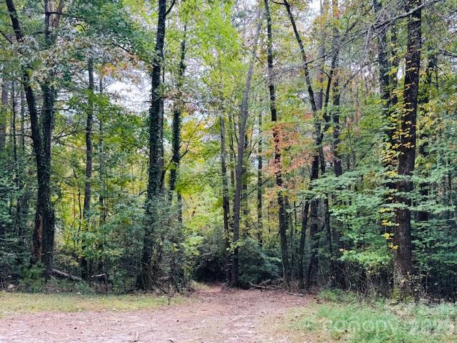Tbd Old Little Mountain Road Property Photo 20
