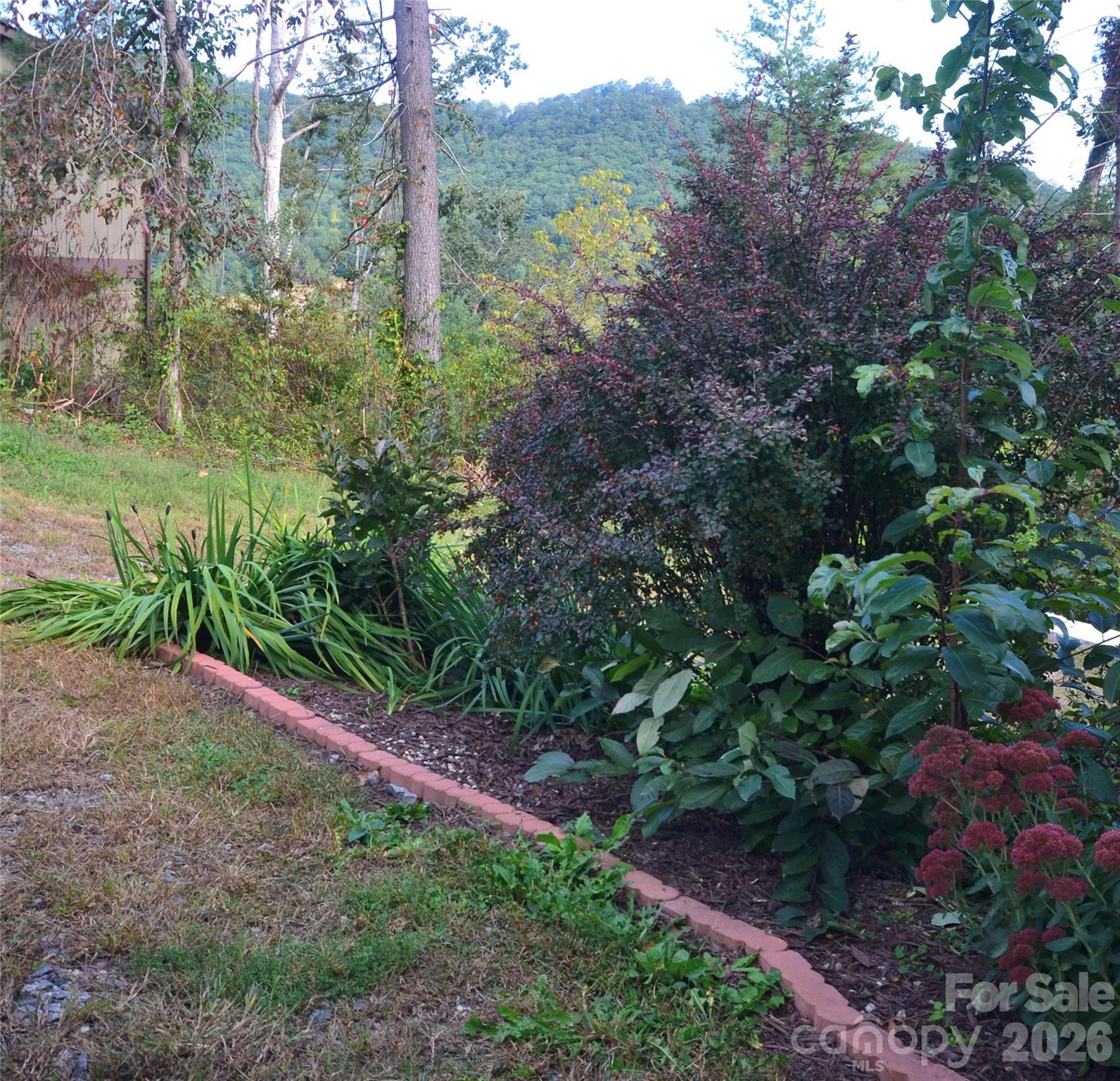 6 Mountain Oaks Drive Property Photo 6