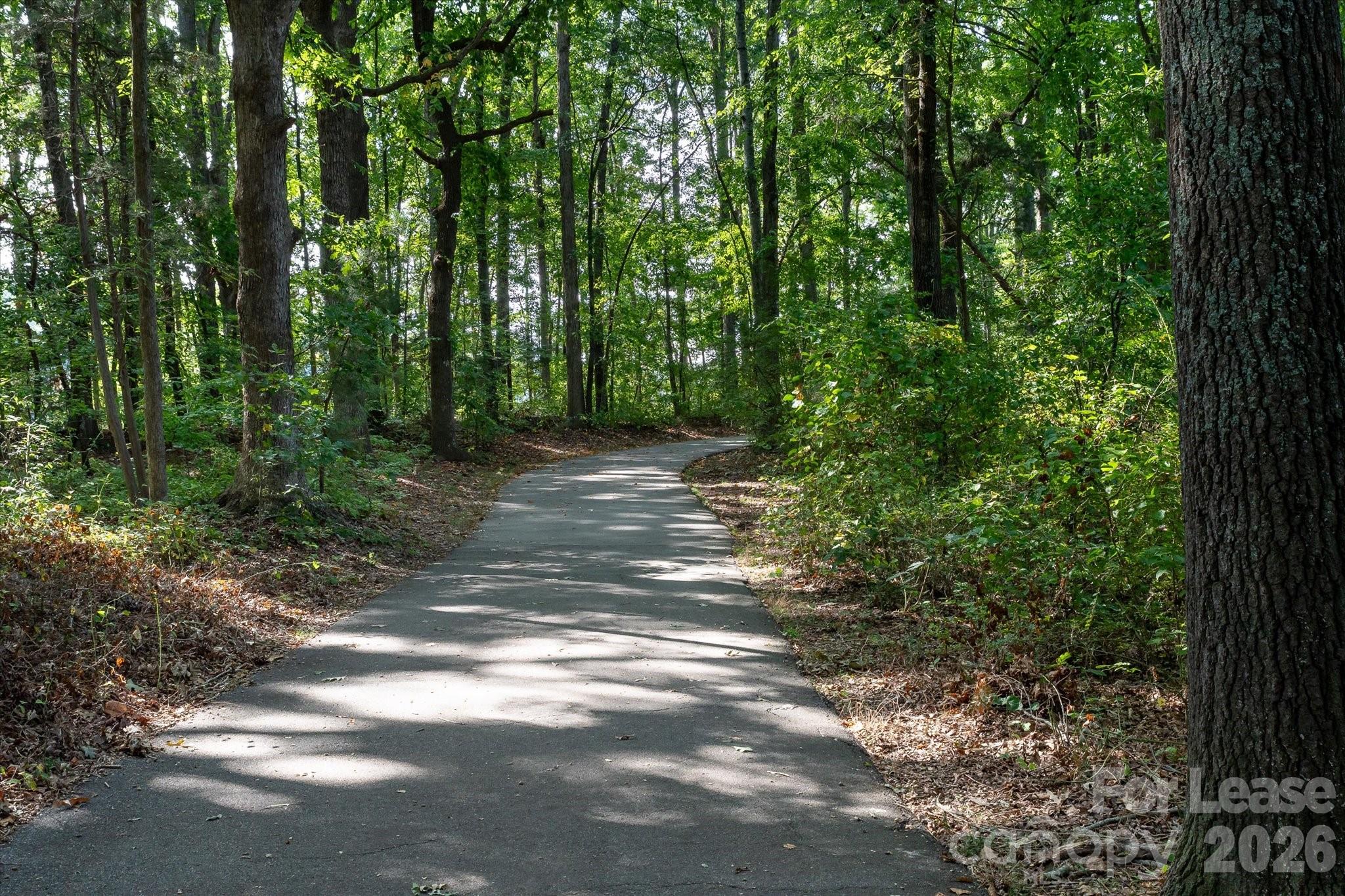 18319 John Connor Road Property Photo 40