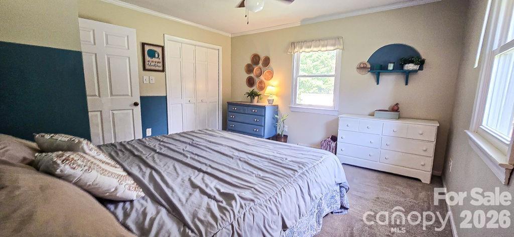 4935 Fish Pond Road Property Photo 6