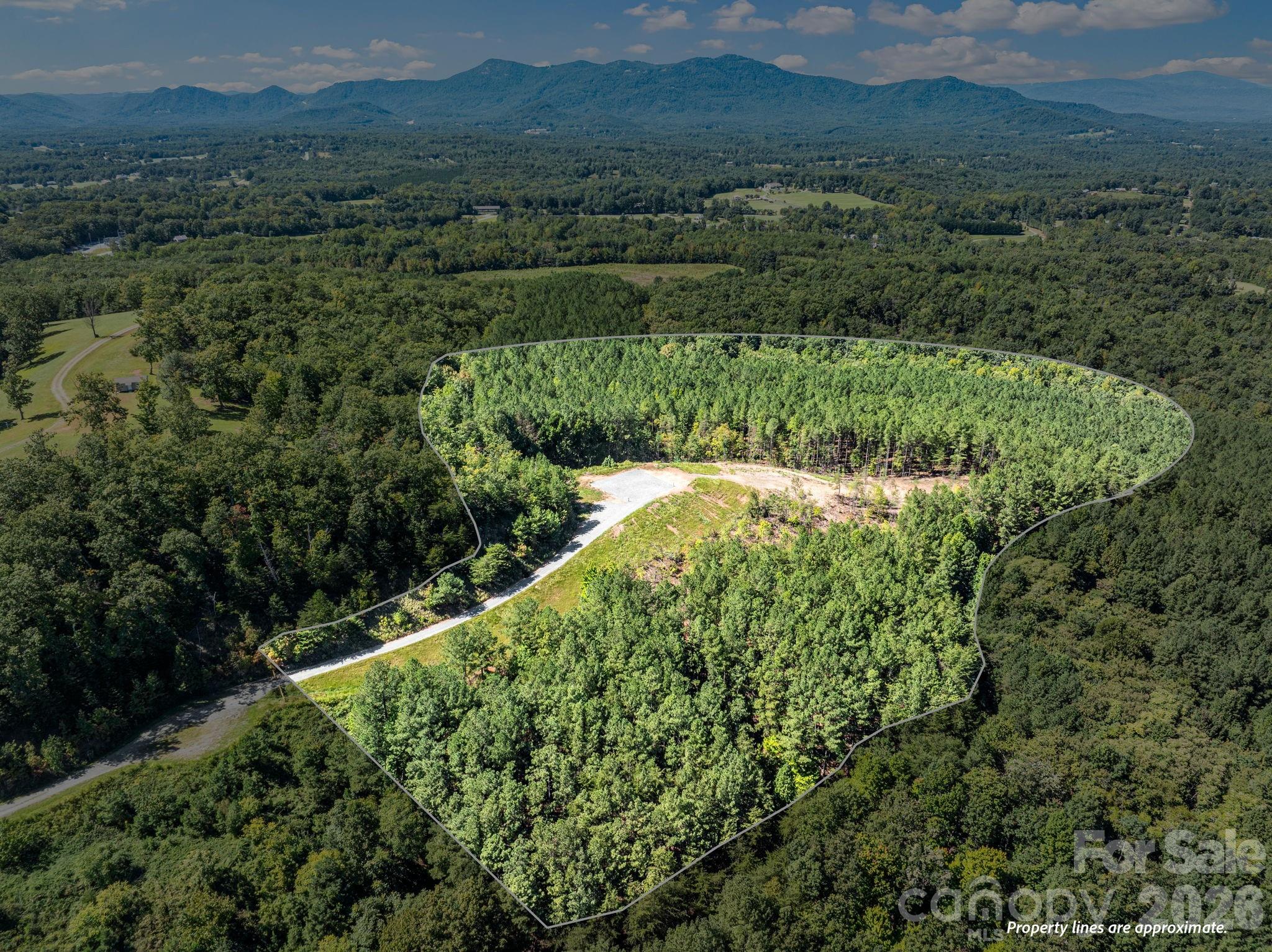 Tbd Williams Loop Property Photo 10