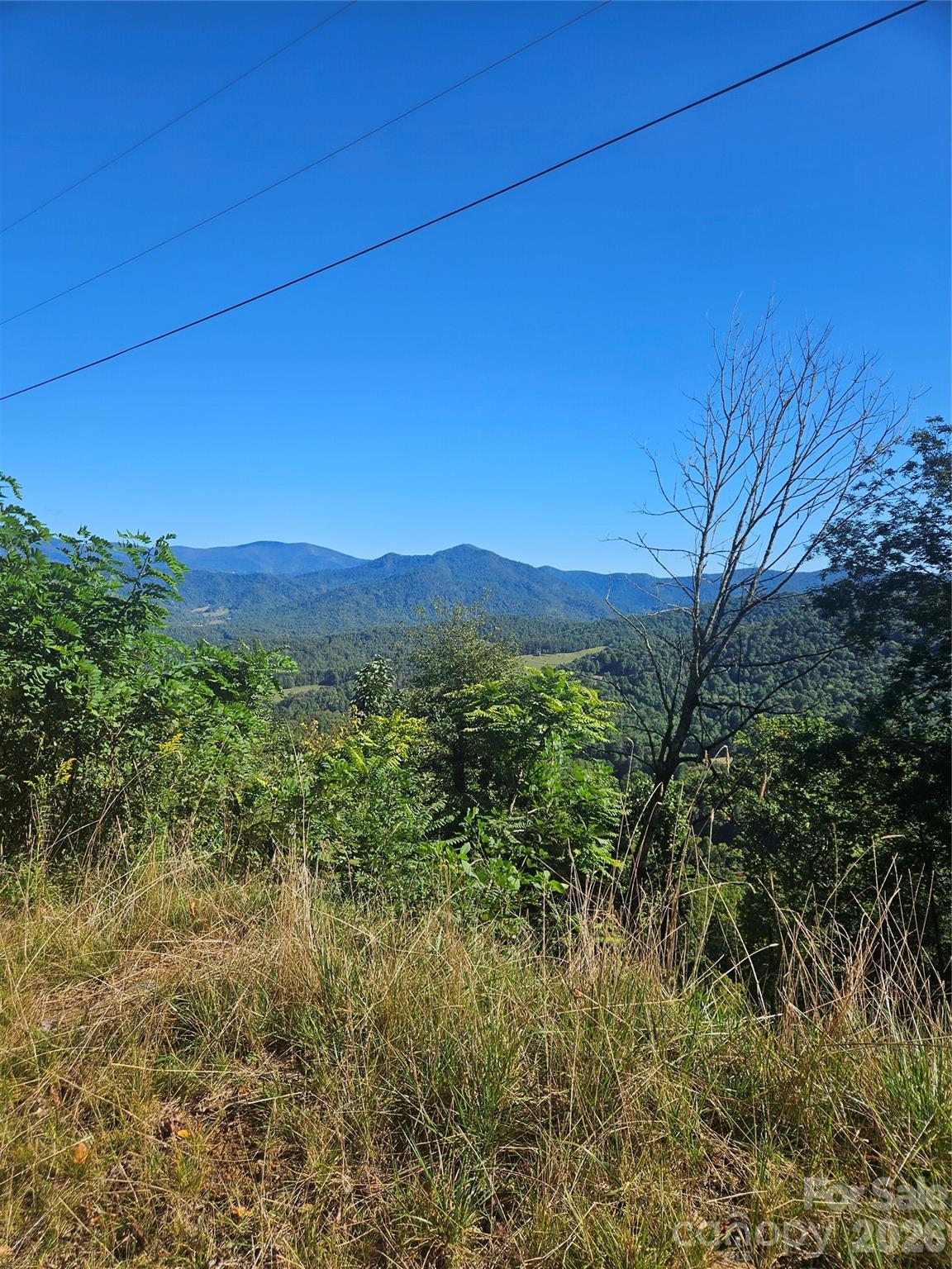 00 White Oak Road Property Photo 1