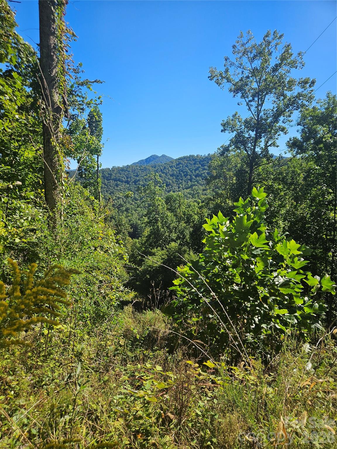 00 White Oak Road Property Photo 3