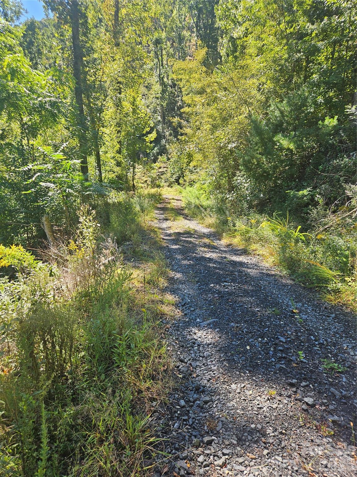 00 White Oak Road Property Photo 4