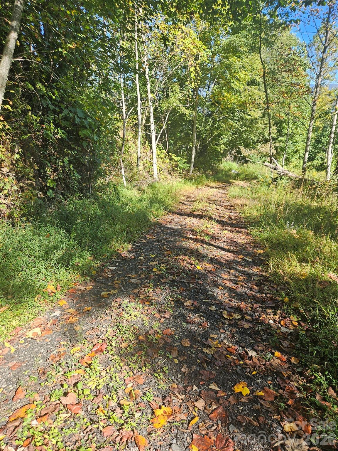 00 White Oak Road Property Photo 6