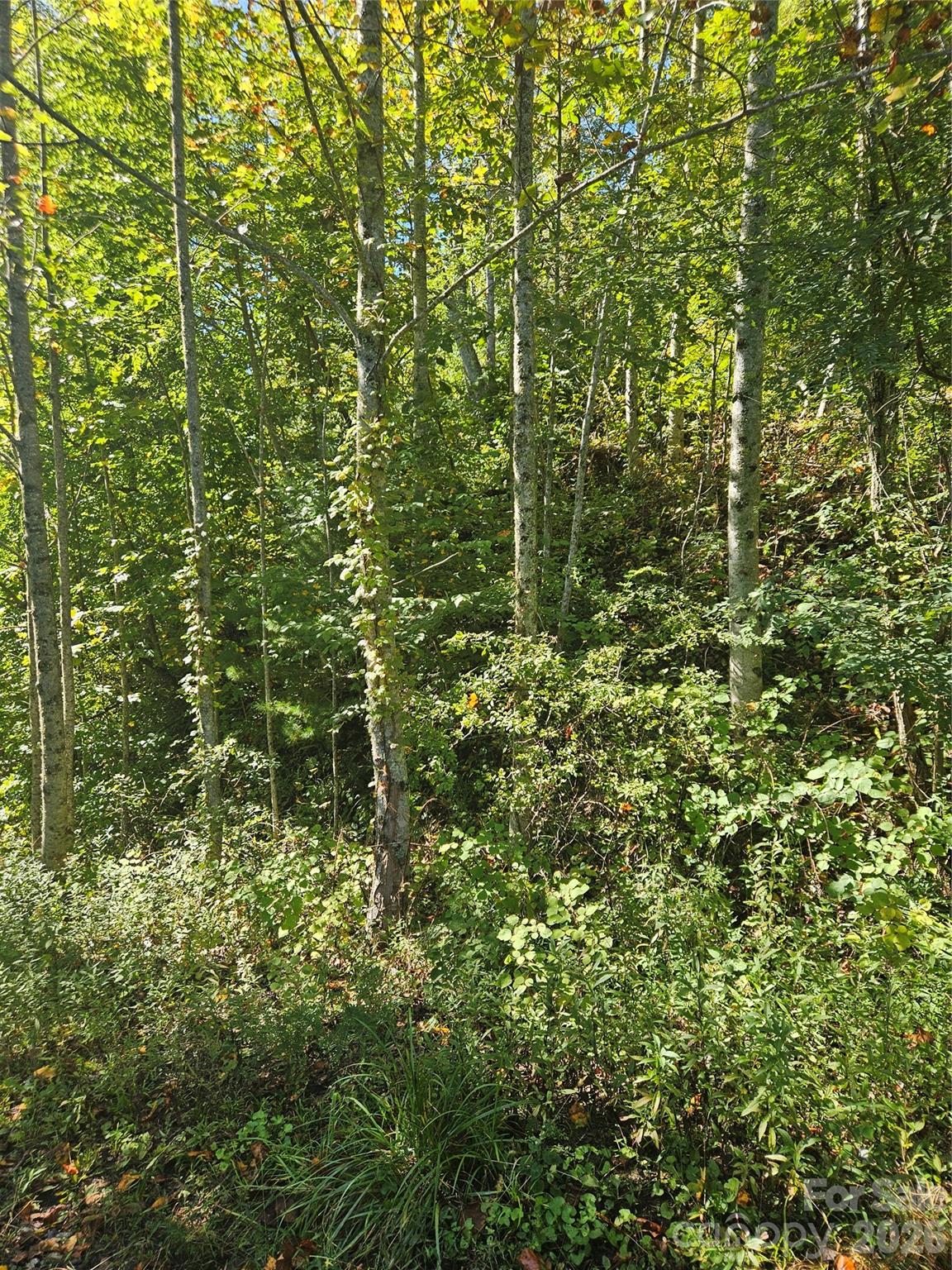 00 White Oak Road Property Photo 8