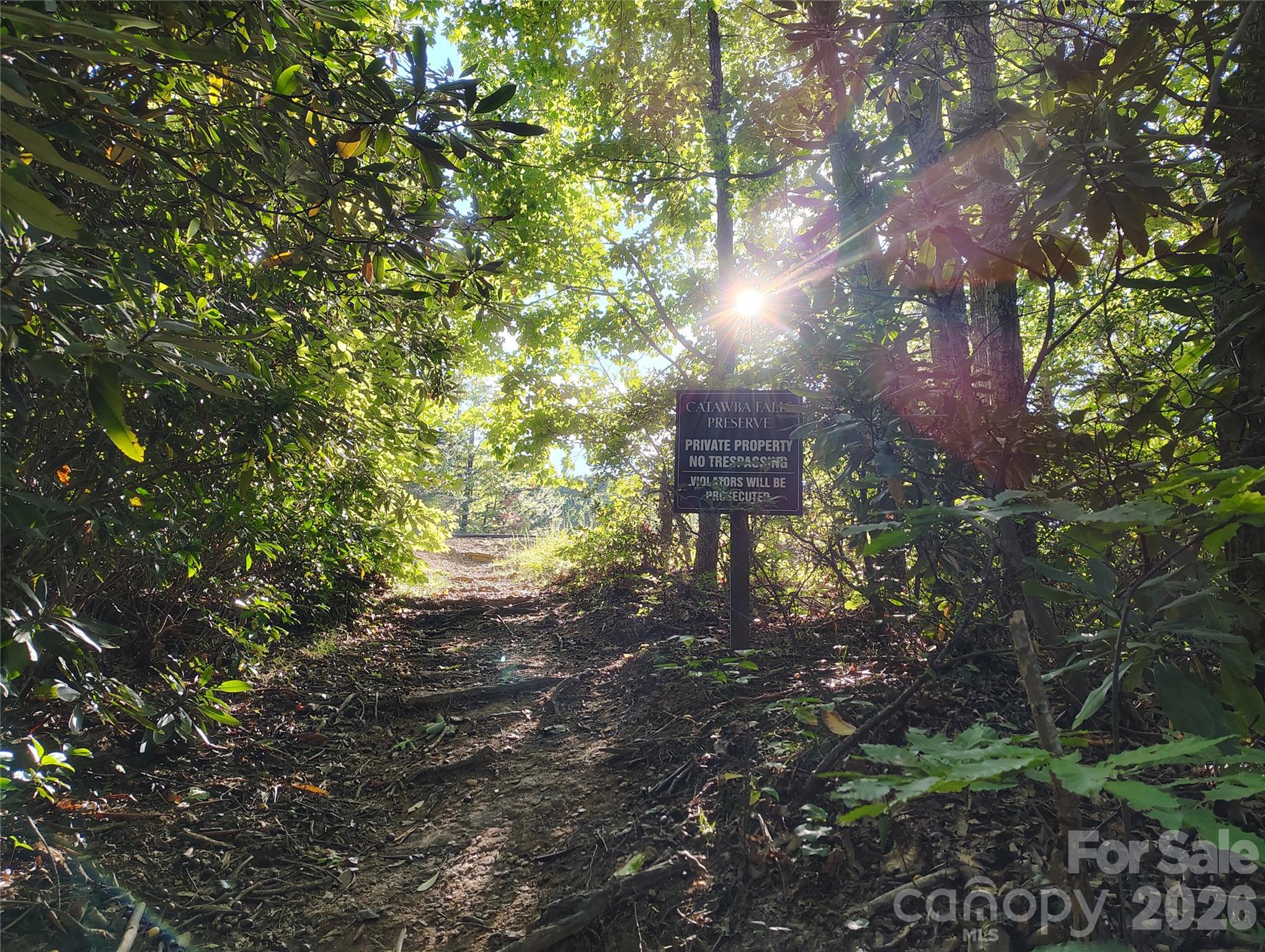 304 Feather Falls Trail 4 Property Photo 3