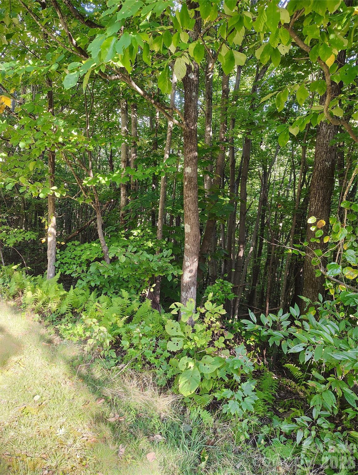304 Feather Falls Trail 4 Property Photo 8