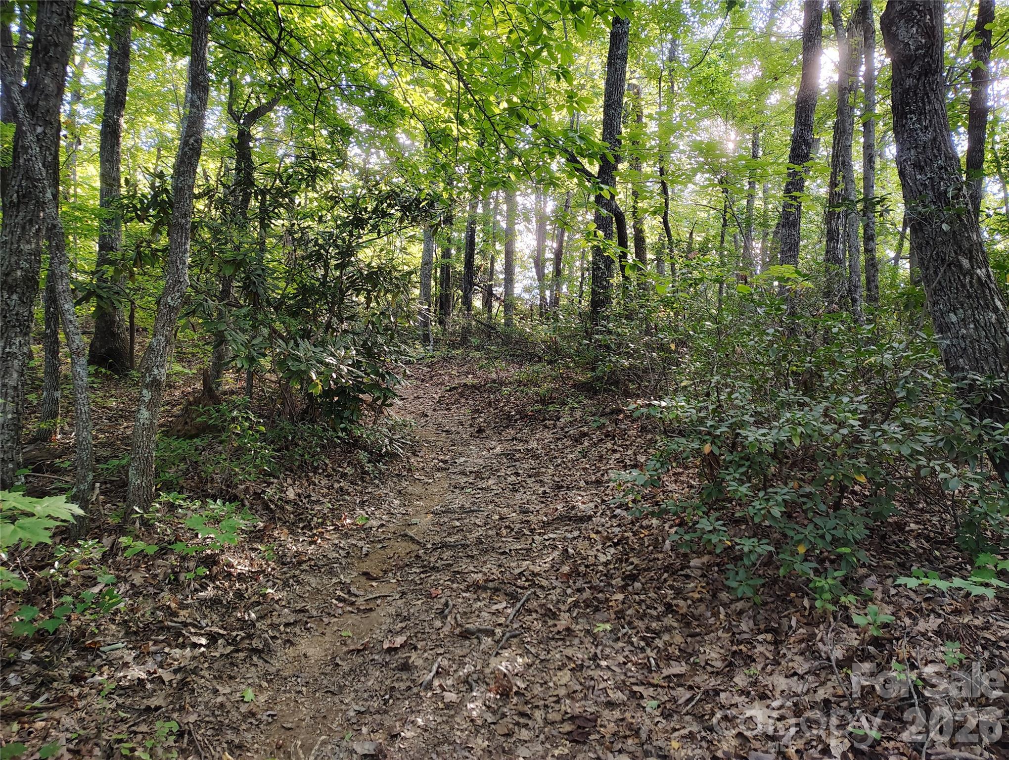 304 Feather Falls Trail 4 Property Photo 13