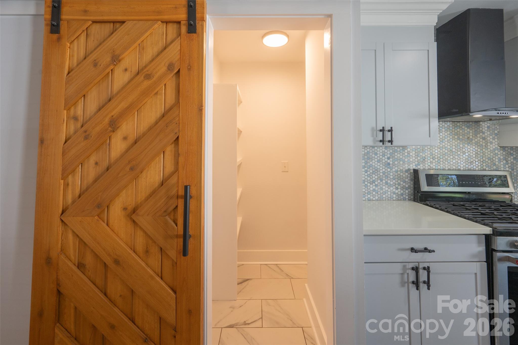 2520 Alleghany Street Property Photo 17