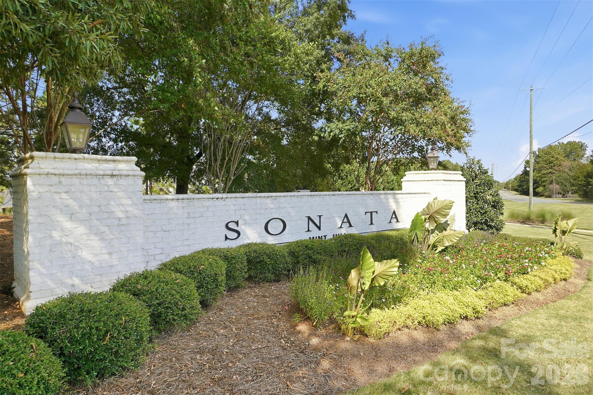 9617 Liberty Hill Drive Property Photo 2