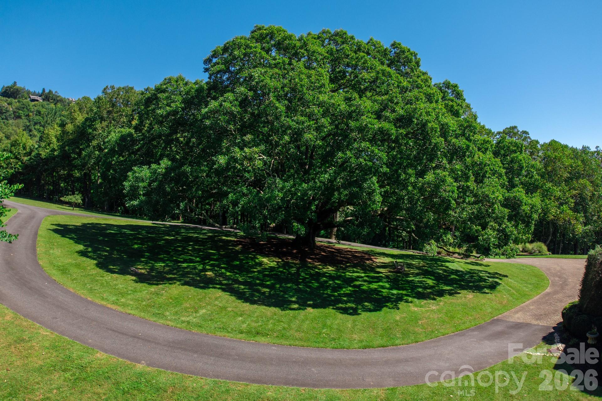 733 Dogwood Lane Property Photo 8