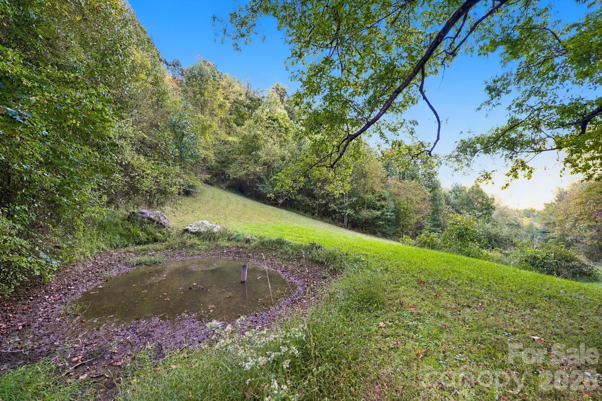 241 Standing Rock Cove Property Photo 4