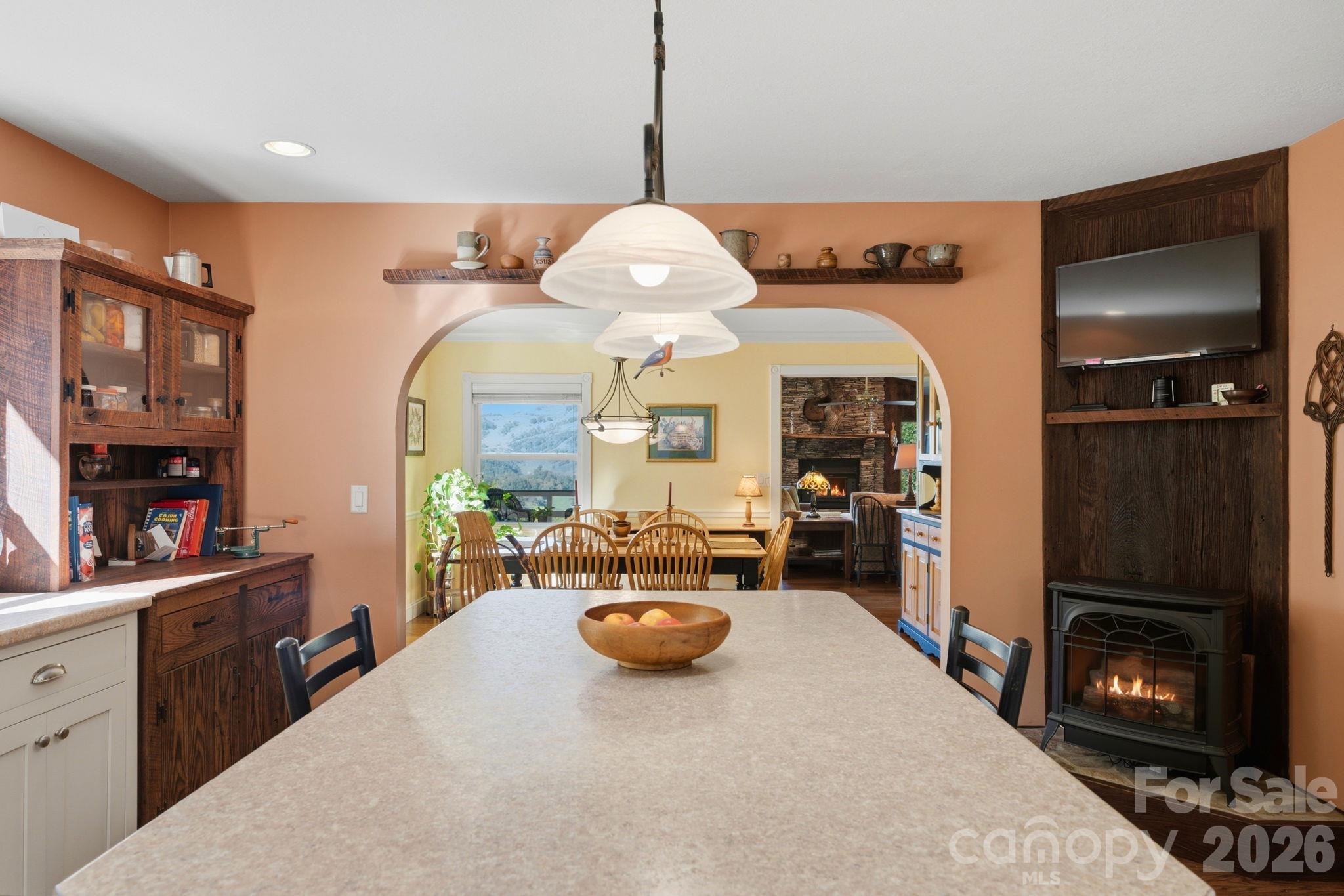 241 Standing Rock Cove Property Photo 8