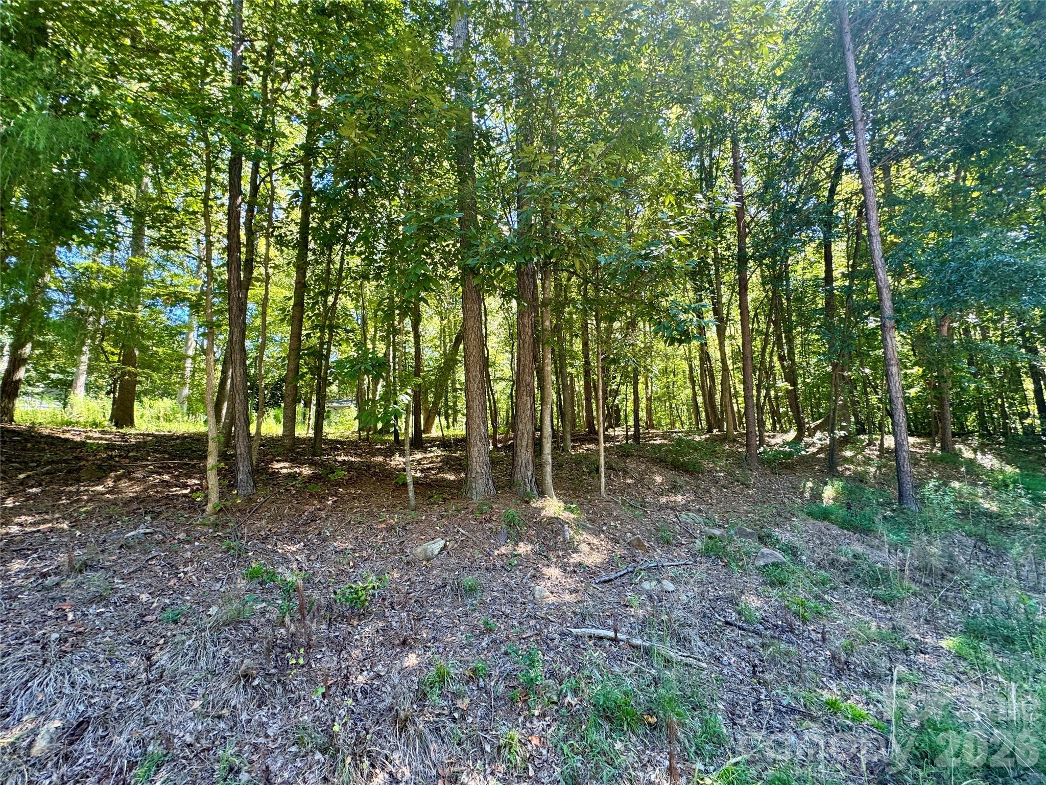 10062 Southwinds Drive Property Photo 1