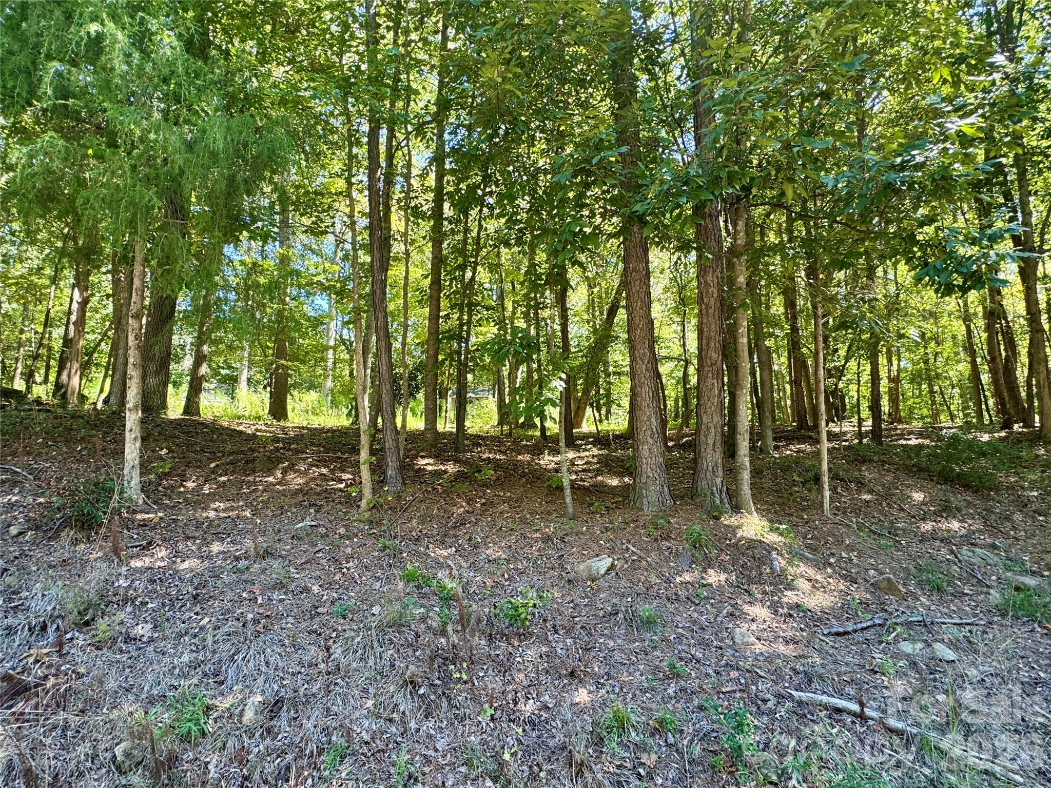 10062 Southwinds Drive Property Photo 2