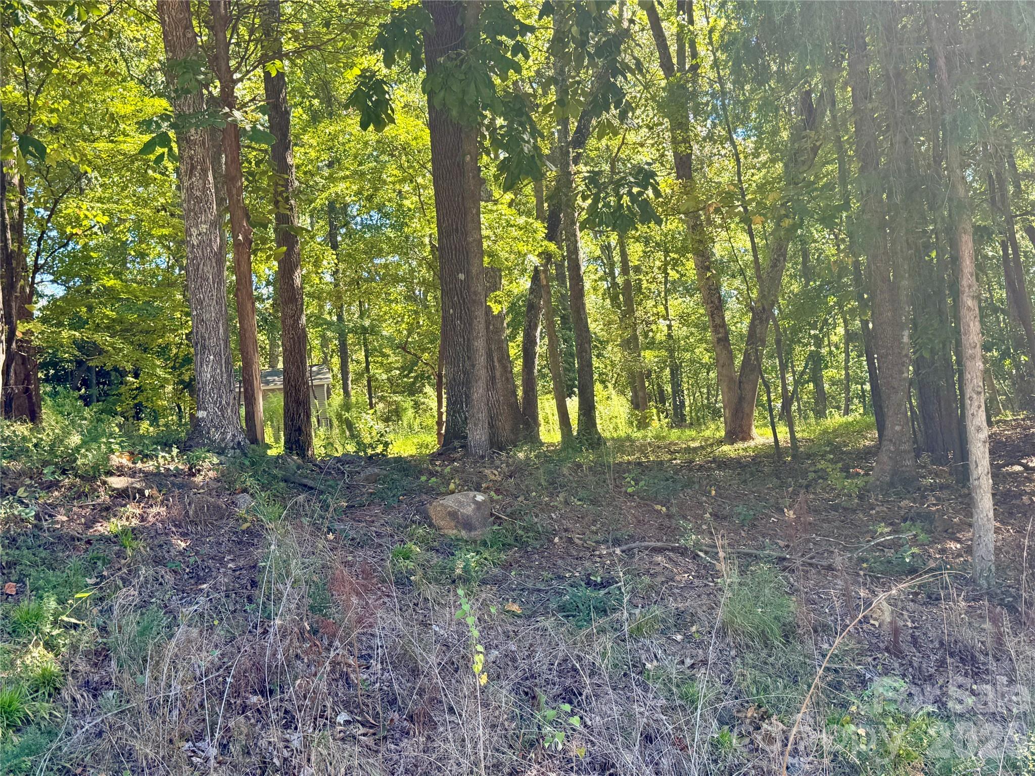 10062 Southwinds Drive Property Photo 3