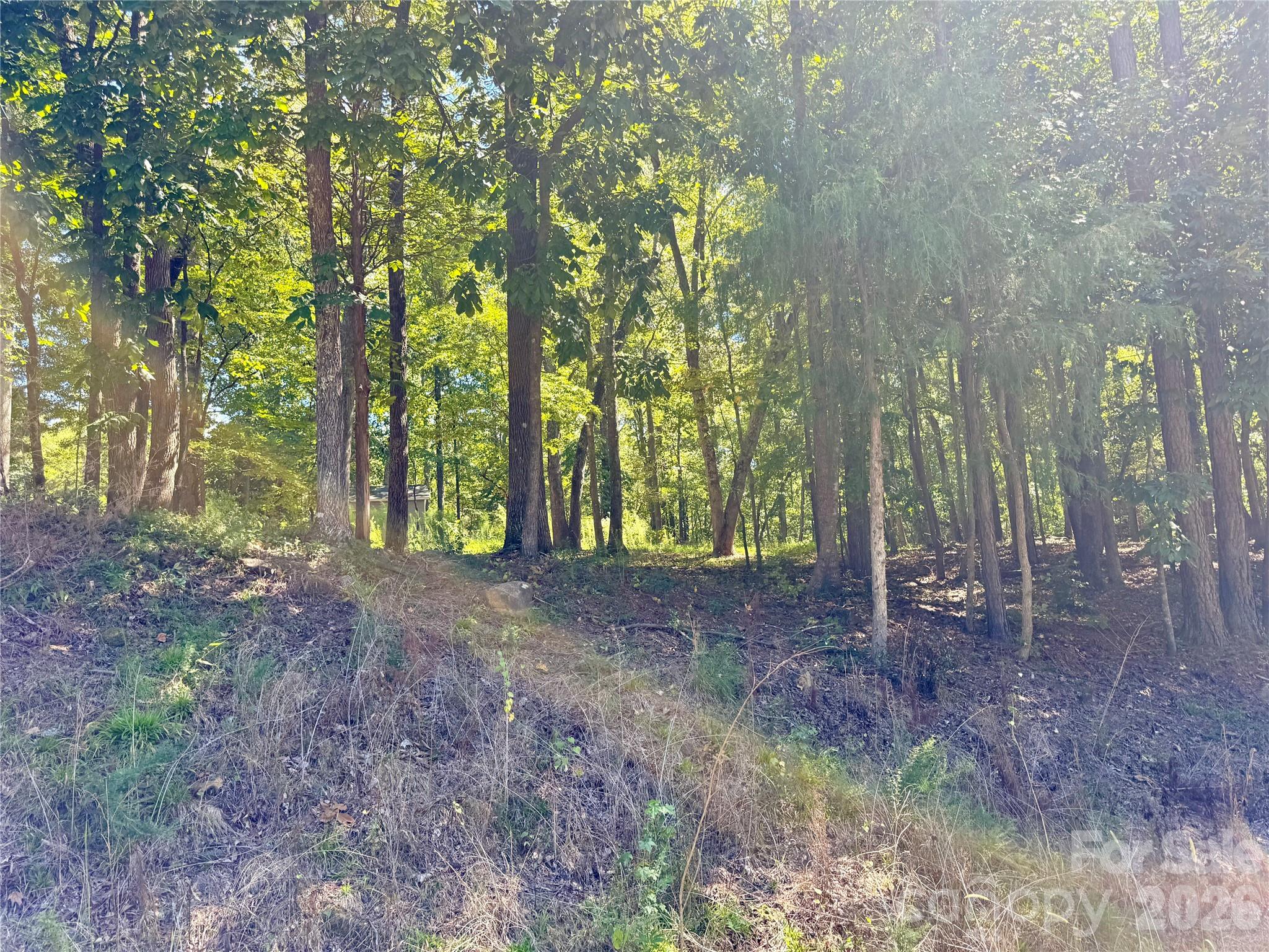 10062 Southwinds Drive Property Photo 4