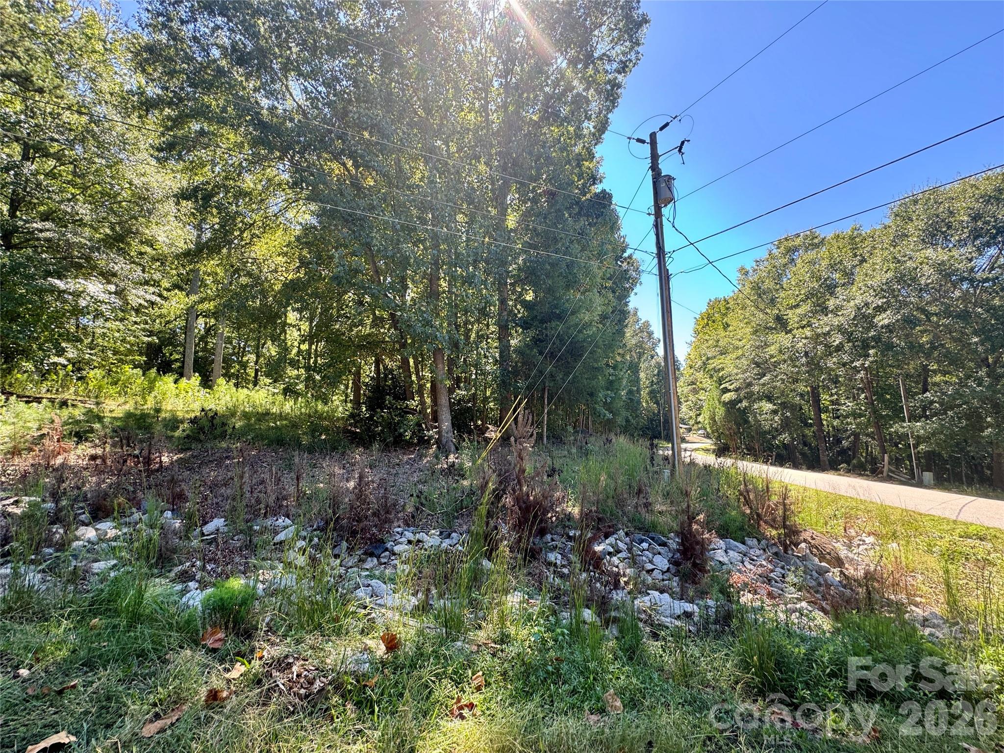 10062 Southwinds Drive Property Photo 6