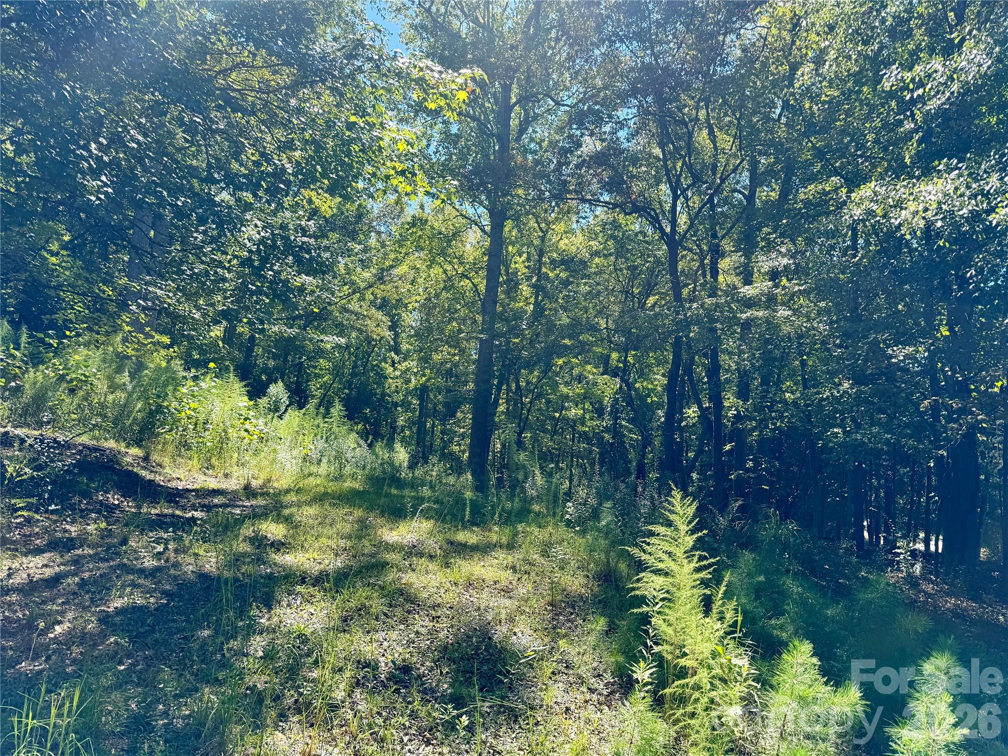 10062 Southwinds Drive Property Photo 12