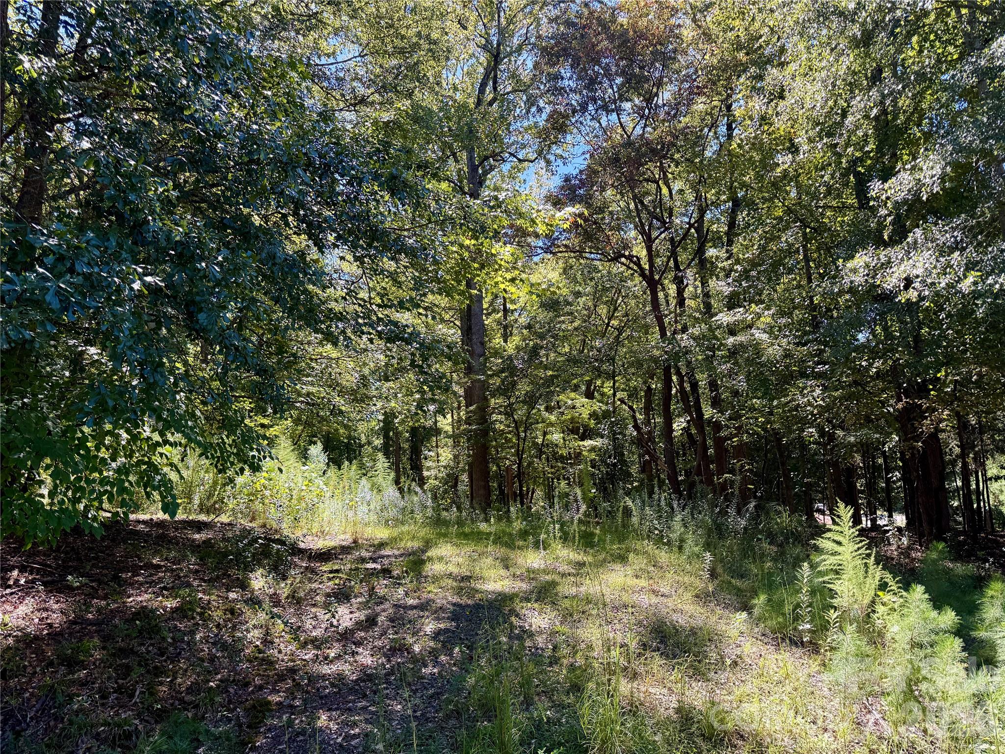 10062 Southwinds Drive Property Photo 13