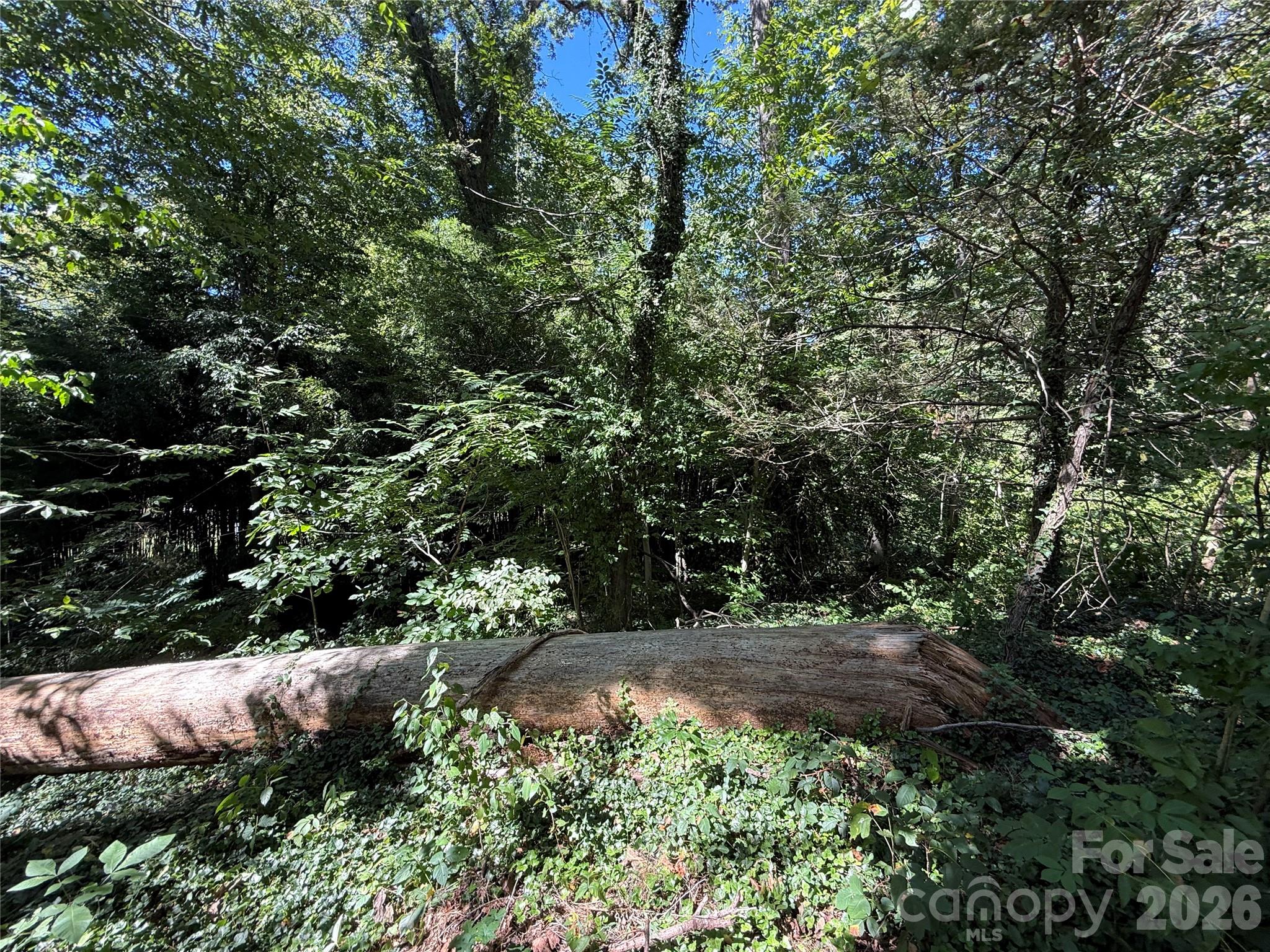 99999 Roebling Circle 39 Property Photo 3