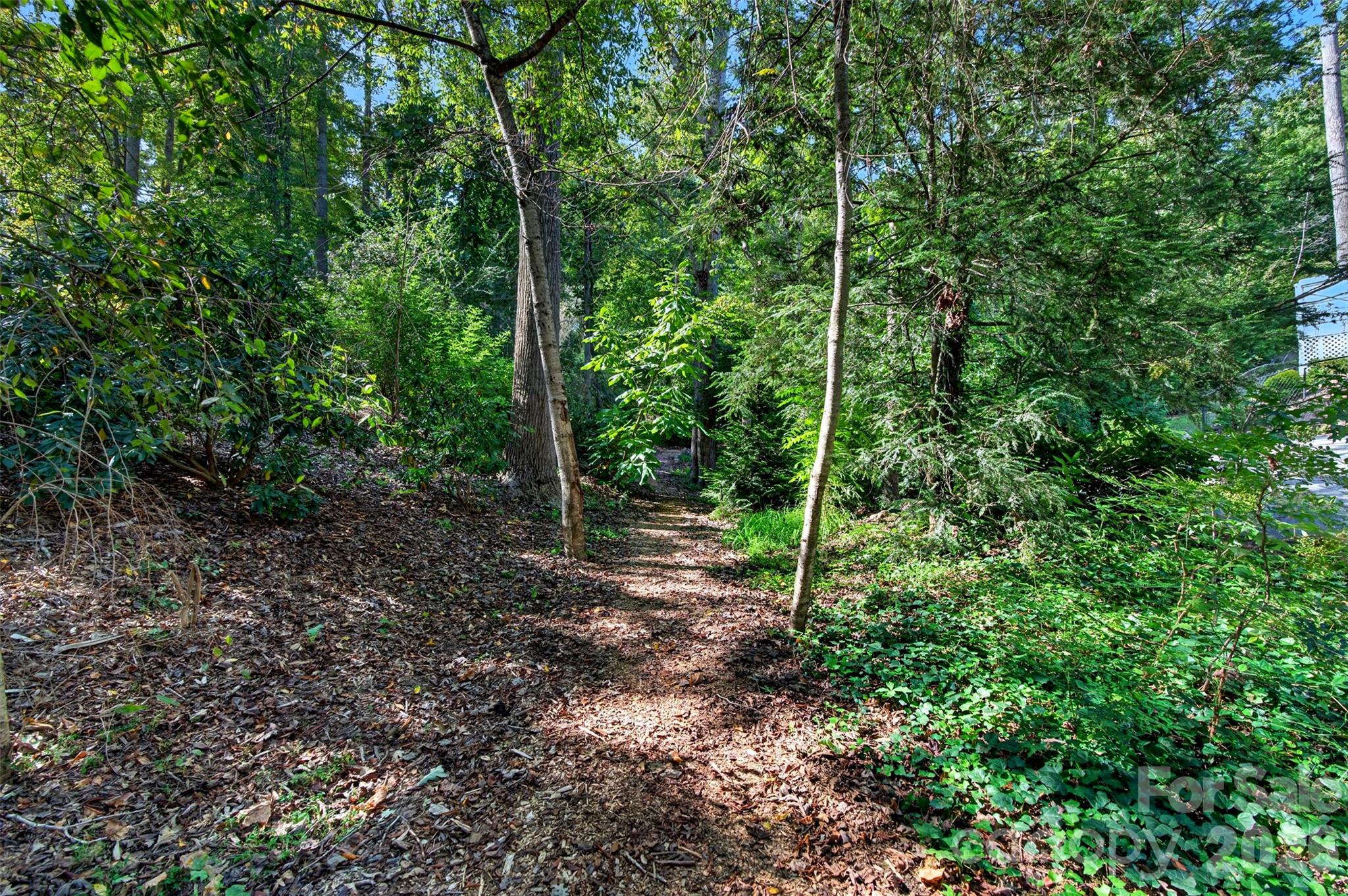 14 Willow Road Property Photo 36