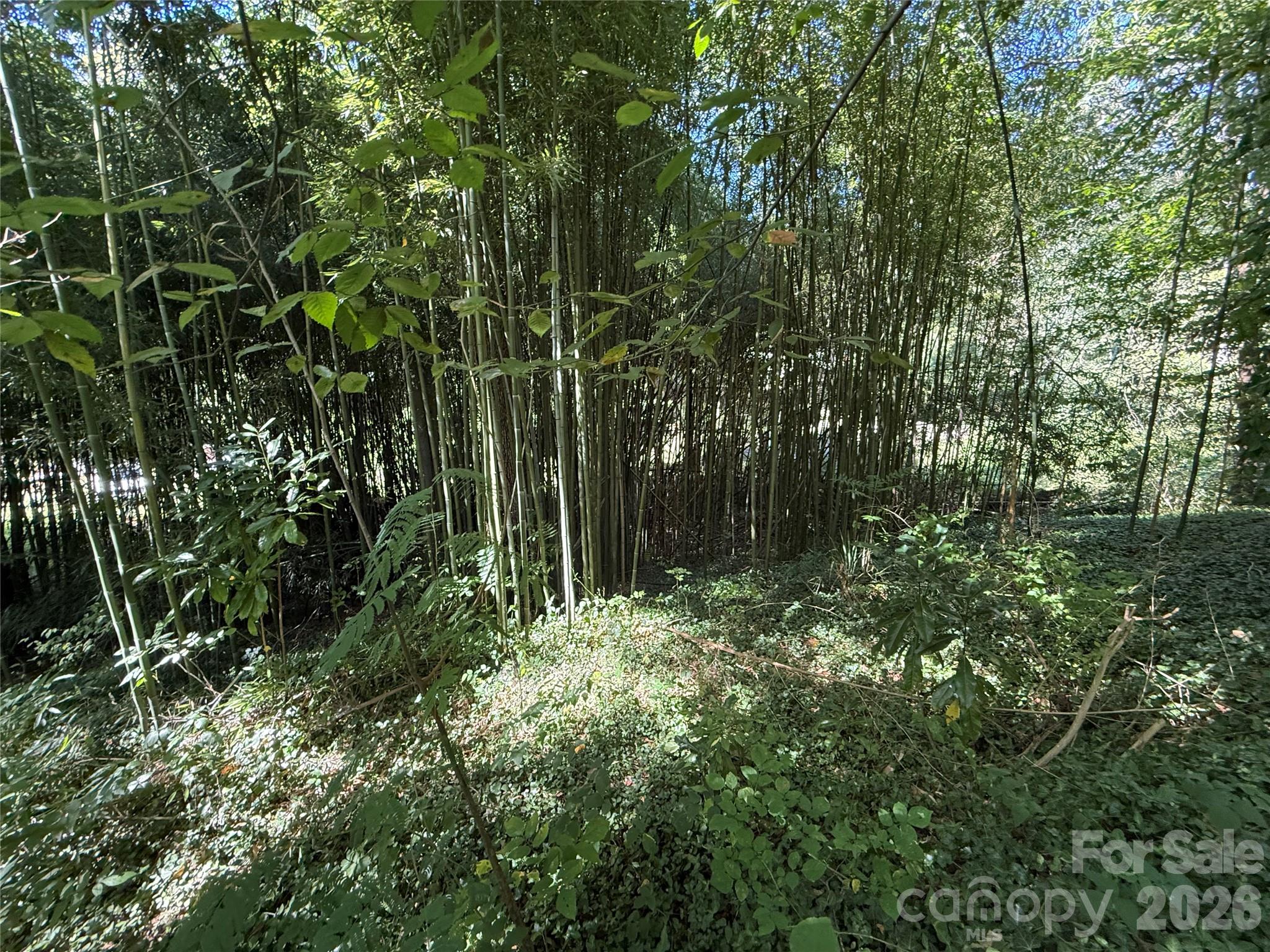 99999 Roebling Circle 38 Property Photo 12