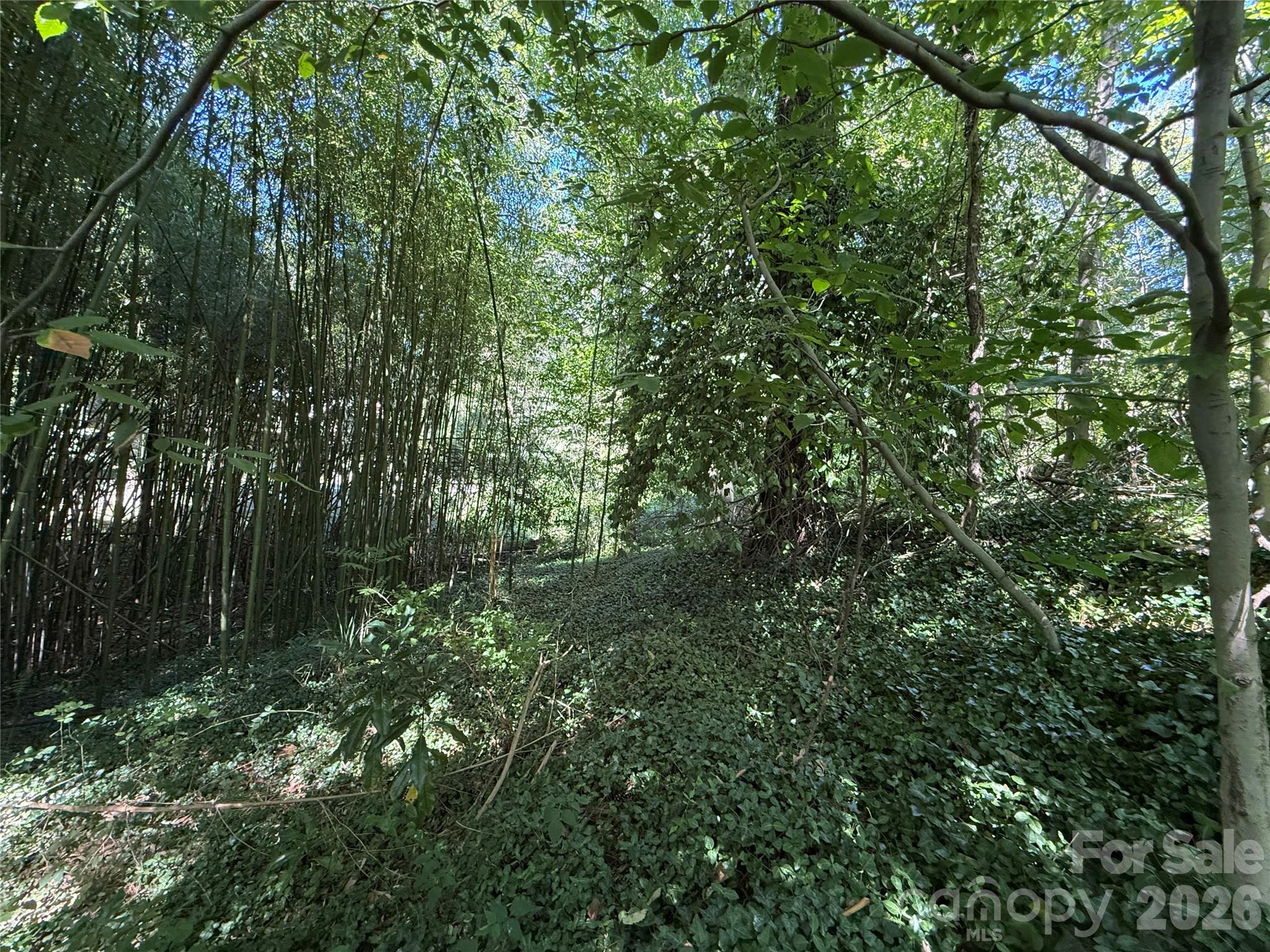 99999 Roebling Circle 38 Property Photo 17