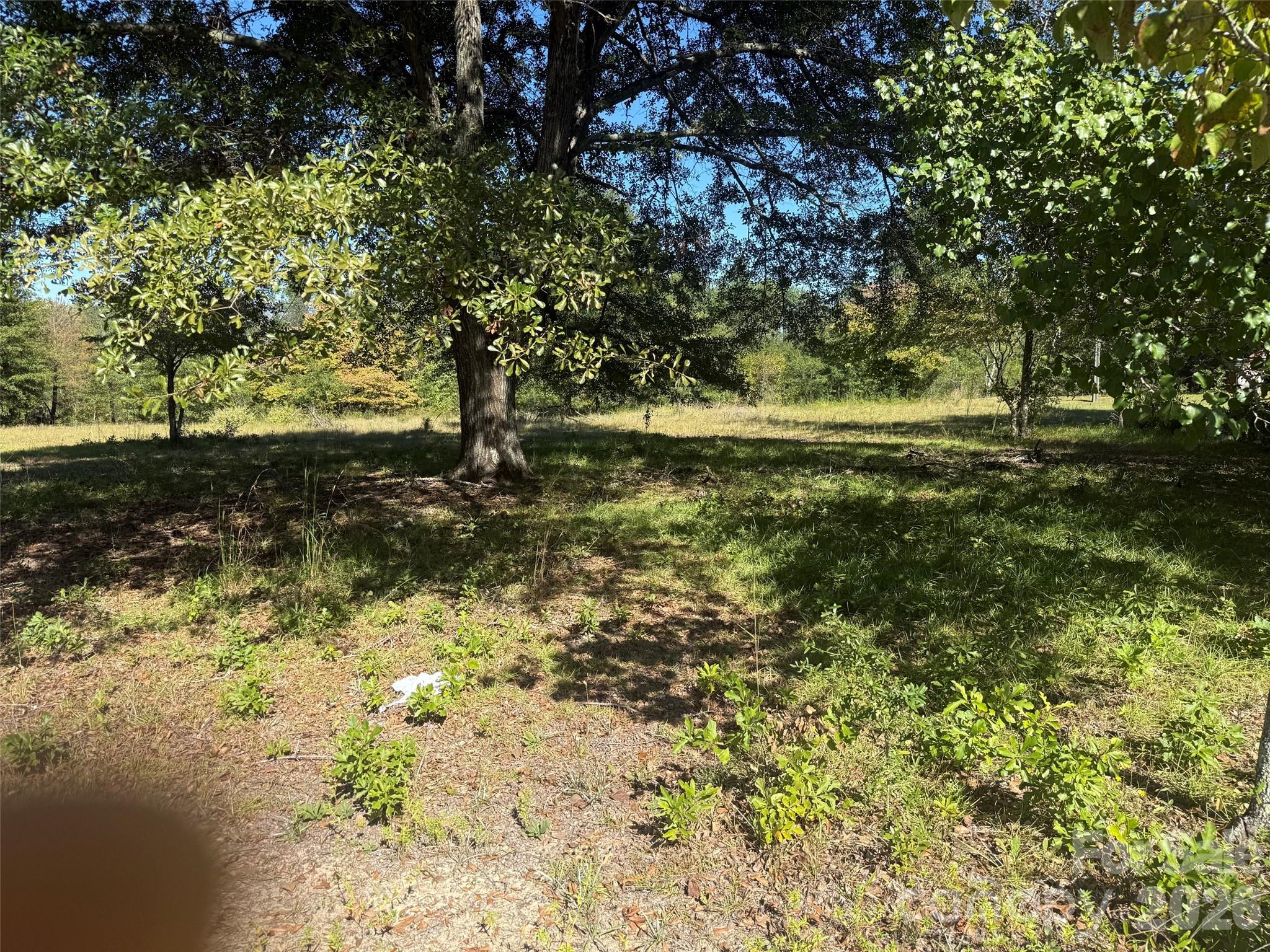 3788 Old Georgetown Road Property Photo 5