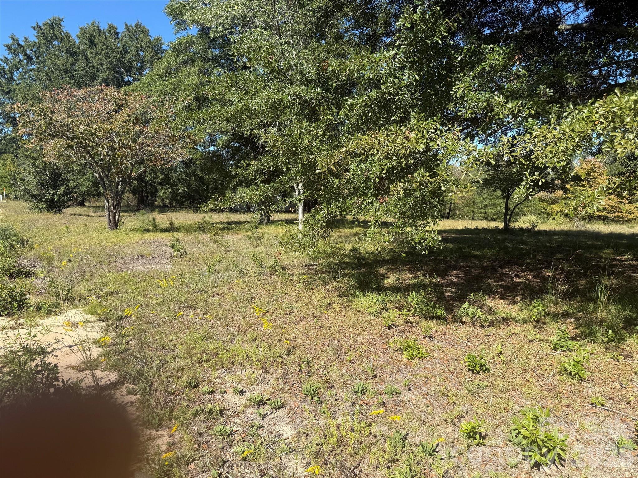 3788 Old Georgetown Road Property Photo 6