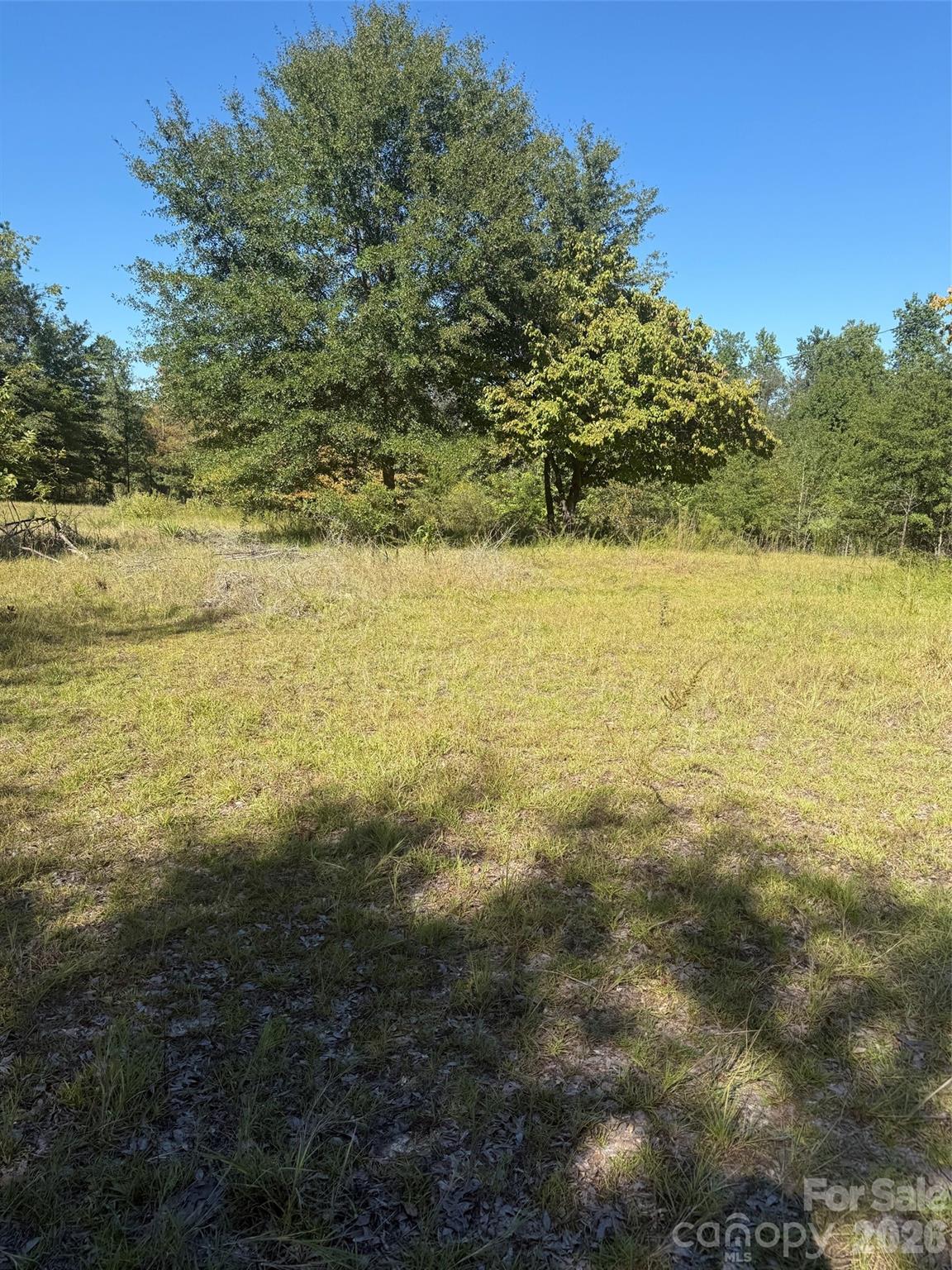 3788 Old Georgetown Road Property Photo 9
