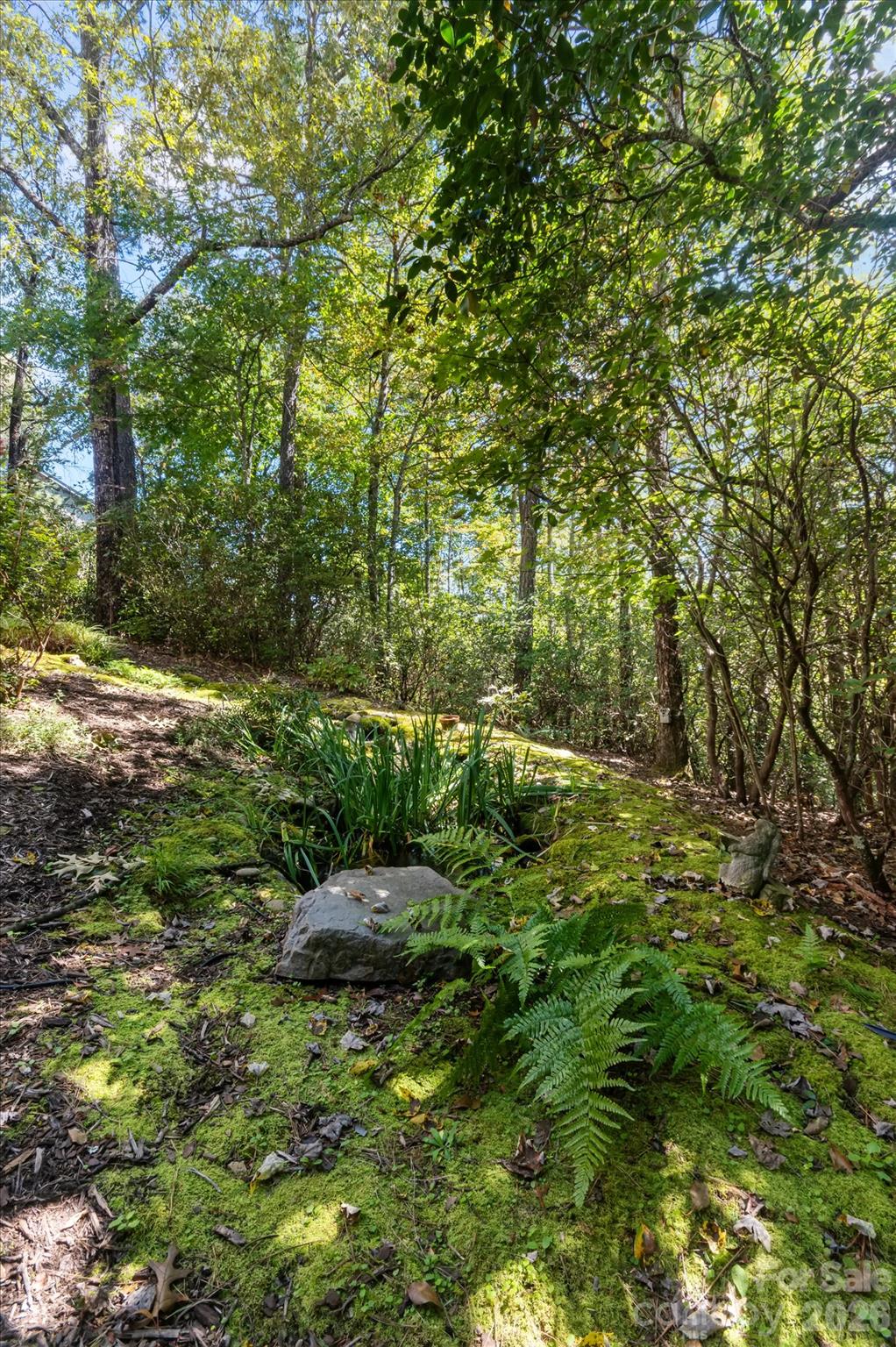44 Sunset Trace Property Photo 39